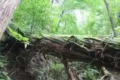 早池峯神社の自然