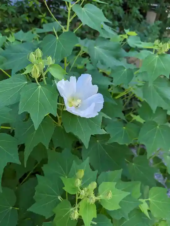 休務寺(京都府)