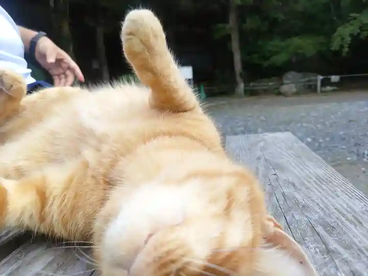 小松寺(千葉県)