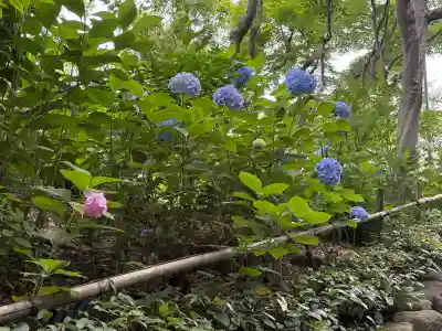 頼光寺(兵庫県)
