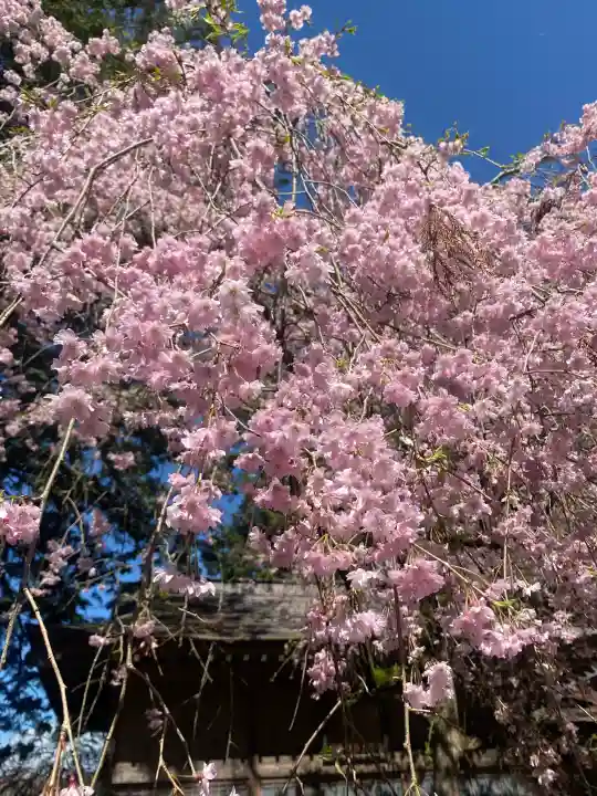 光丸山 法輪寺の{uncategorized: "未分類", other: "その他", undefined: "問題あり", building: "その他建物", grave: "お墓", sacred_gate: "鳥居", guardian: "狛犬", statue: "像", buddha: "仏像", history: "歴史", nature: "自然", garden: "庭園", animal: "動物", pagoda: "塔", temizu: "手水舎", mountain_gate: "山門・神門", sanctuary: "本殿・本堂", subordinate: "末社・摂社", art: "芸術", scenery: "景色", jizo: "地蔵", ema: "絵馬", goshuin: "御朱印", omikuji: "おみくじ", items: "授与品その他", amulet: "お守り", goshuincho: "御朱印帳", eats: "食事", festival: "お祭り", votive_dance: "神楽", shichigosan: "七五三参", wedding: "結婚式", experience: "体験その他", initially: "初詣", around: "周辺", anti_infection: "感染症対策"}