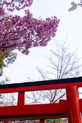 平野神社(京都府)
