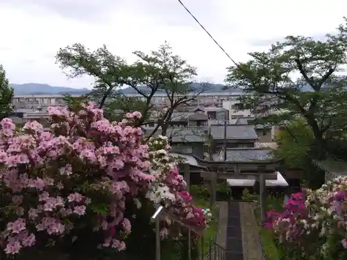 八幡神社(福井県)