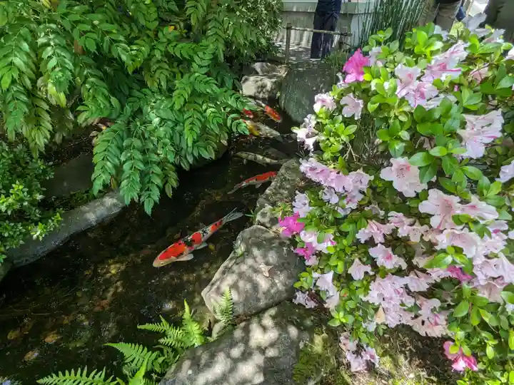 長谷寺(神奈川県)