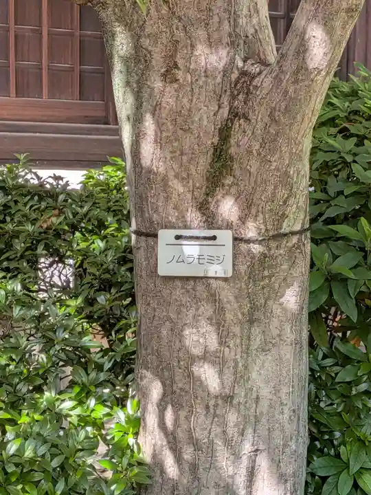 行慶寺(東京都)