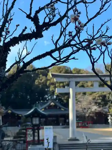 群馬県護国神社(群馬県)