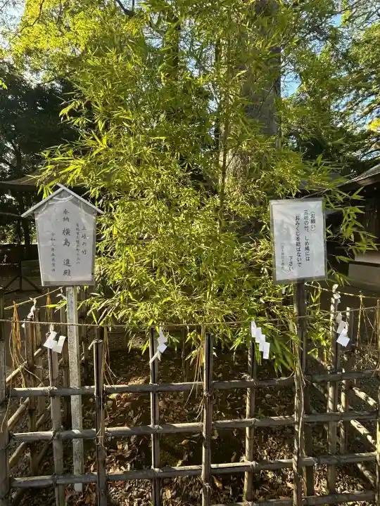 一言主神社(茨城県)