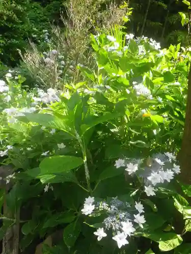 御霊神社の自然