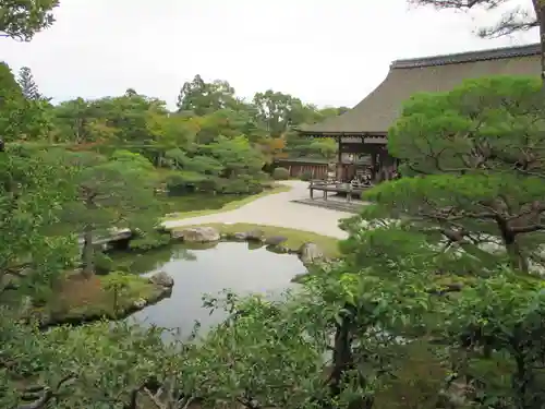 仁和寺の庭園