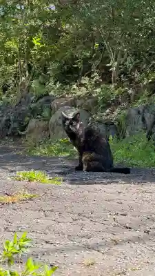 秋葉神社(北海道)
