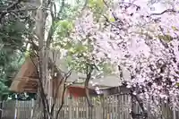 伊勢山皇大神宮の自然