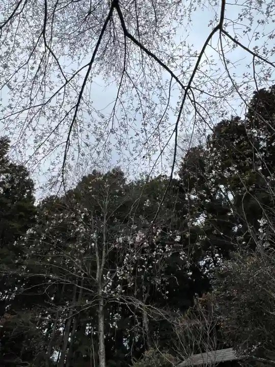 大宮温泉神社(栃木県)
