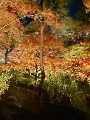 東福禅寺(東福寺)(京都府)