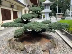 愛知縣護國神社(愛知県)