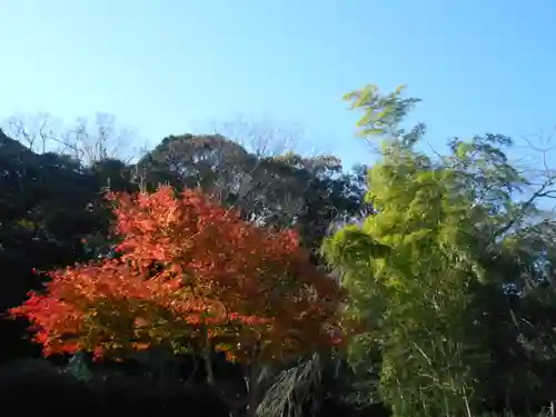 安國論寺（安国論寺）の庭園