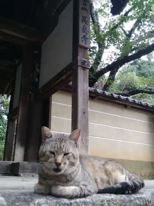 長岳寺(奈良県)