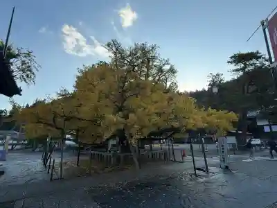 誕生寺(岡山県)