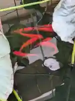 龍興院(東京都)