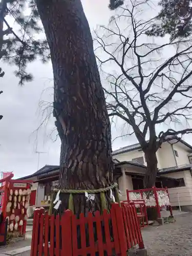 鴻神社(埼玉県)
