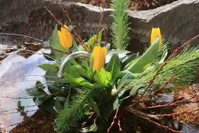 愛宕神社の手水舎