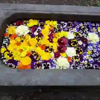 前玉神社の手水舎