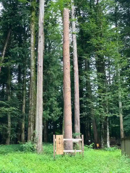 小野神社(長野県)