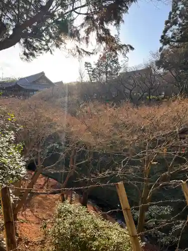 東福禅寺（東福寺）(京都府)