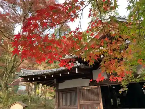 園城寺（三井寺）のその他建物