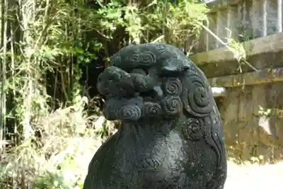 大杉神社(千葉県)
