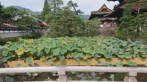 善光寺大勧進(長野県)