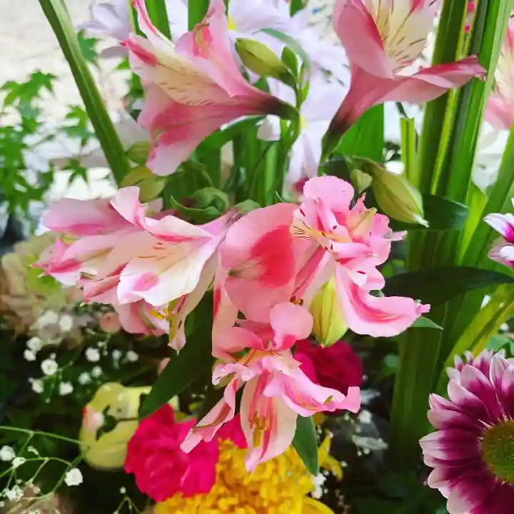 滑川神社 - 仕事と子どもの守り神の手水舎