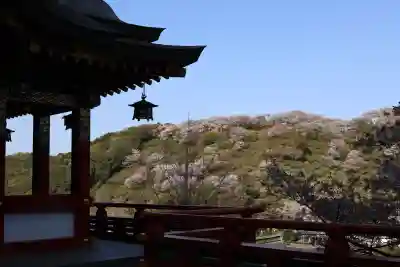 祐徳稲荷神社(佐賀県)