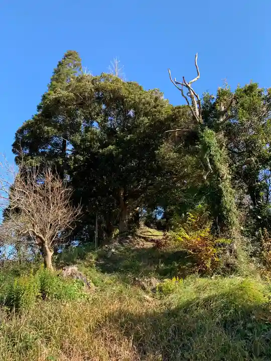 八幡神社の自然