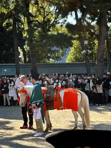住吉大社の動物