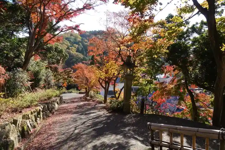 柳谷観音 楊谷寺の庭園
