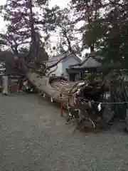 賀茂神社(滋賀県)