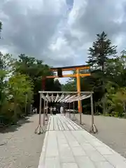 川越氷川神社(埼玉県)