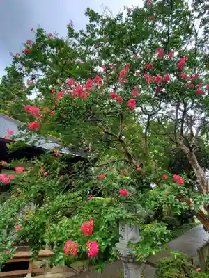 上合寺(福島県)