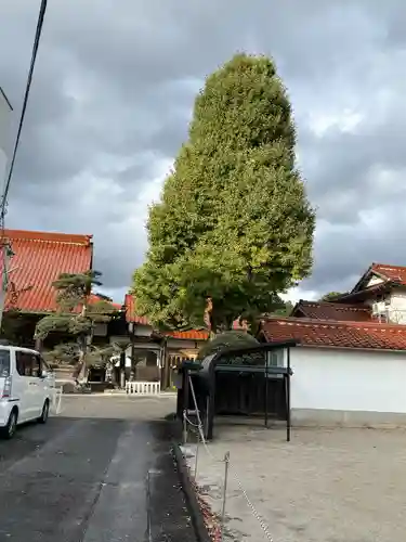 日蔵寺(島根県)