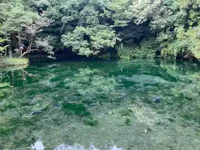 涌釜神社(栃木県)