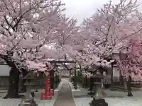 七郷神社の{uncategorized: "未分類", other: "その他", undefined: "問題あり", building: "その他建物", grave: "お墓", sacred_gate: "鳥居", guardian: "狛犬", statue: "像", buddha: "仏像", history: "歴史", nature: "自然", garden: "庭園", animal: "動物", pagoda: "塔", temizu: "手水舎", mountain_gate: "山門・神門", sanctuary: "本殿・本堂", subordinate: "末社・摂社", art: "芸術", scenery: "景色", jizo: "地蔵", ema: "絵馬", goshuin: "御朱印", omikuji: "おみくじ", items: "授与品その他", amulet: "お守り", goshuincho: "御朱印帳", eats: "食事", festival: "お祭り", votive_dance: "神楽", shichigosan: "七五三参", wedding: "結婚式", experience: "体験その他", initially: "初詣", around: "周辺", anti_infection: "感染症対策"}