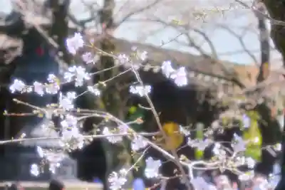 靖國神社(東京都)