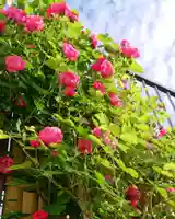 寿量山 速成寺の庭園