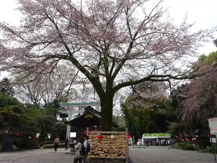 出雲大社相模分祠(神奈川県)