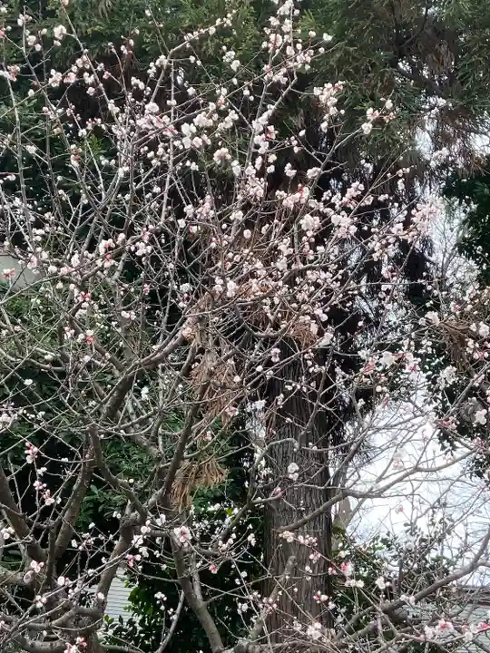 大國魂神社(東京都)