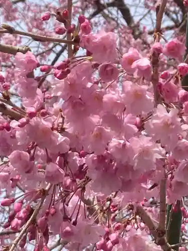 多治速比売神社の庭園