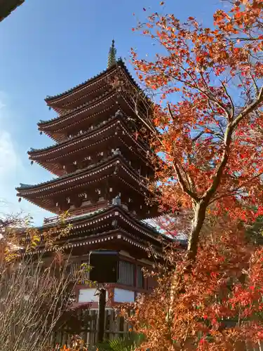本土寺(千葉県)
