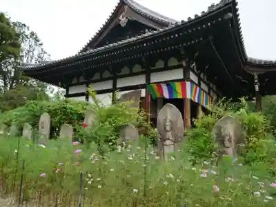 般若寺 ❁コスモス寺❁の本殿・本堂