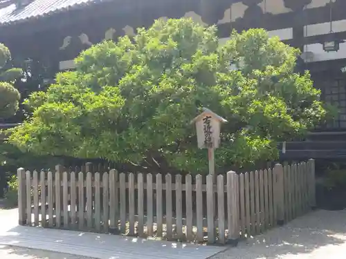 誉田八幡宮の庭園