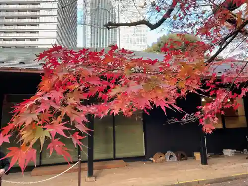 愛宕神社(東京都)